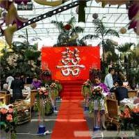 太原市迎澤區浪漫一生禮儀慶典服務部 一站式婚慶服務指南